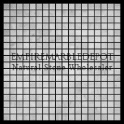 Carrara Marble Italian White Bianco Carrera 5/8x5/8 Mosaic Tile Polished
